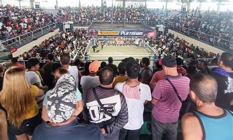 new davao matina gallera|‘Sabong’ in Matina gallera returns to face.